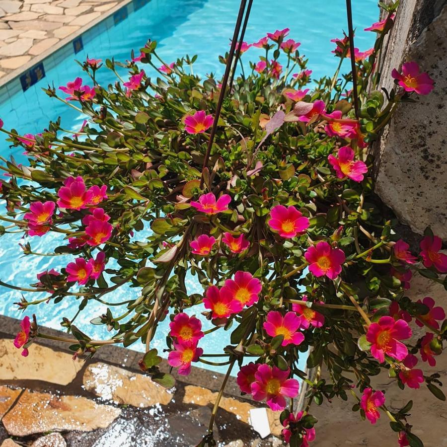 Hotel Capricho Asturiano